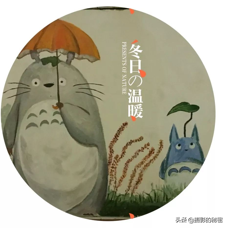 摄影专用手机推荐,摄影手机入门推荐