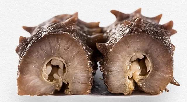 海参百科,海参科普