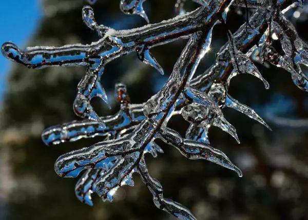 看长沙下雪的景,长沙看雪最佳地方