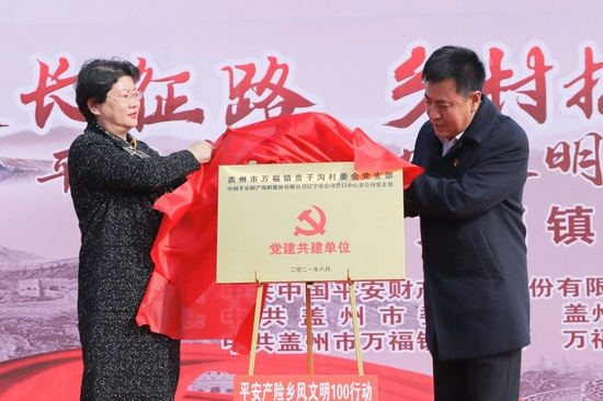 平安产险党建工作总结,党建引领安全生产技术创新