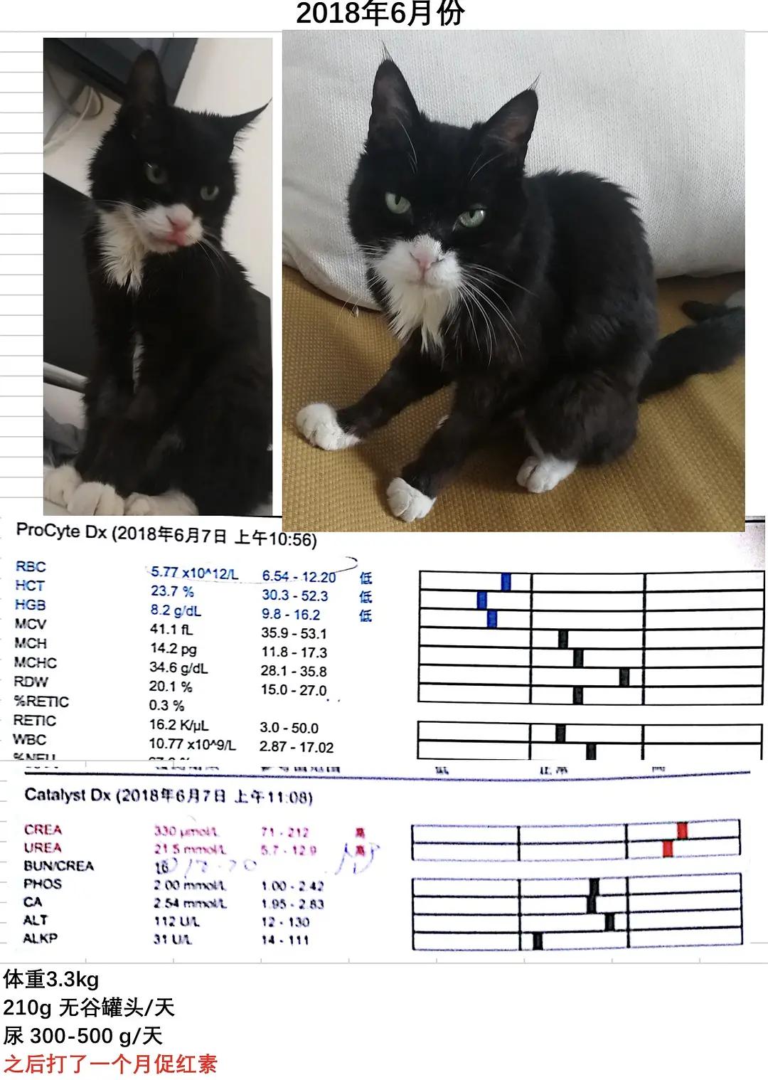糖尿病患者胆囊炎胰腺炎同时出现,胆囊结石胰腺炎糖尿病