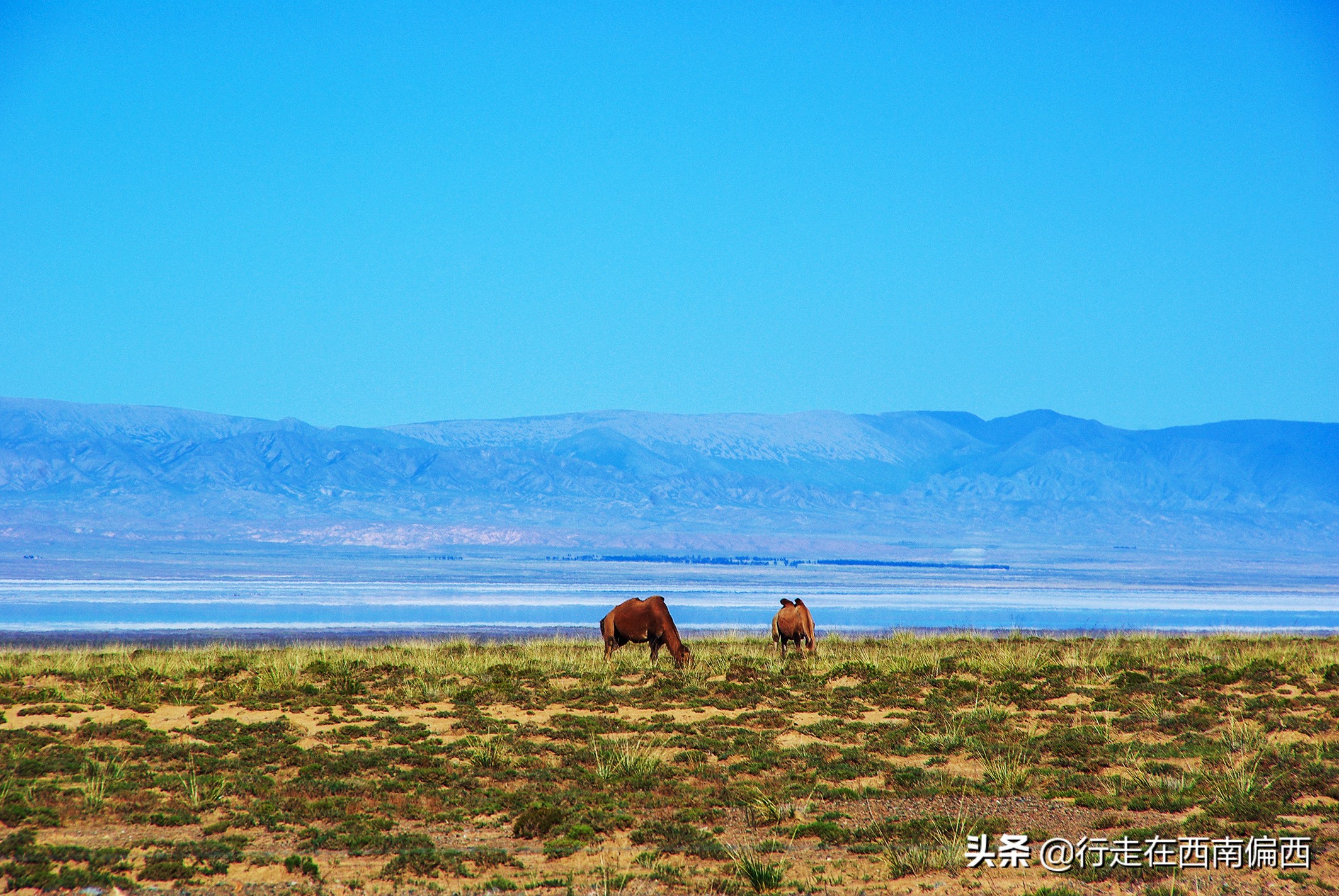 海子面朝大海春暖花开德令哈,德令哈面朝大海春暖花开