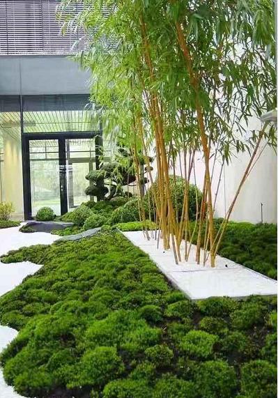 六大风格庭院植物配置全知道,庭院植物种植布局效果图