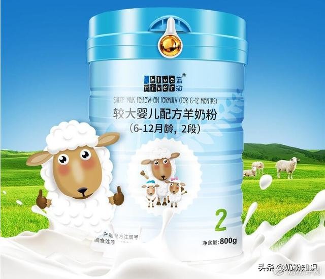 佳贝艾特羊奶粉有机款测评,测评五款热门羊奶粉