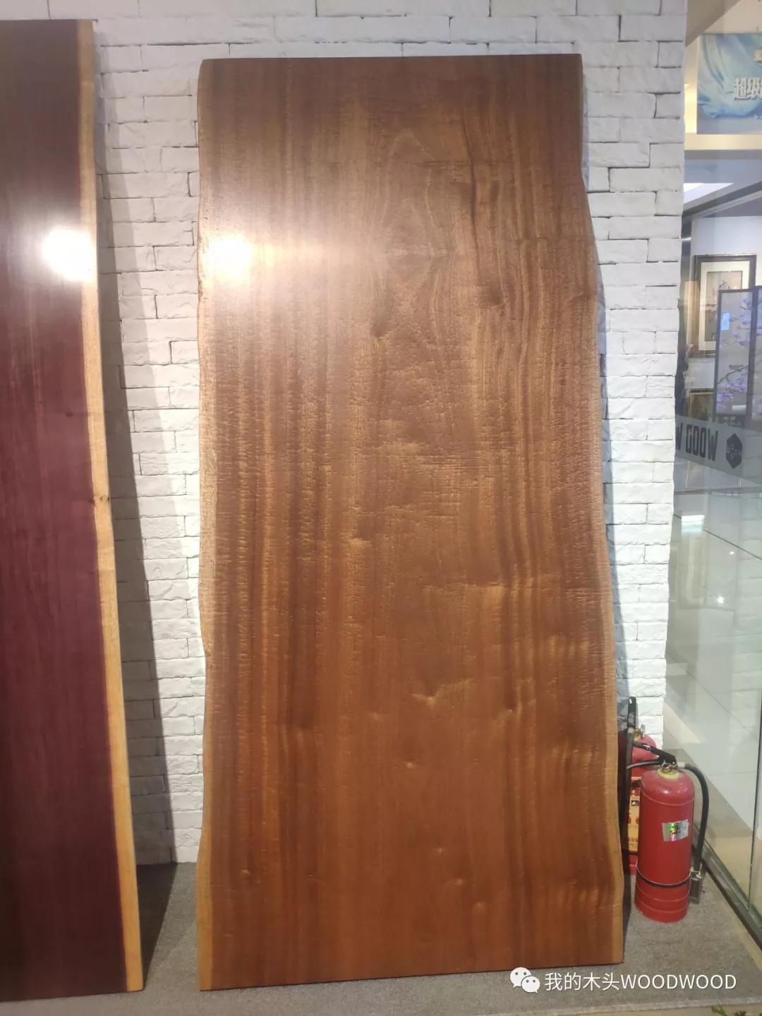 沙比利是什么树木,沙比利树木