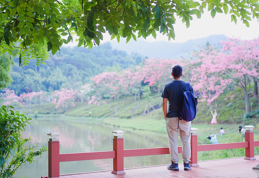 清远森波拉避暑胜地,森波拉奇妙世界温泉门票价格