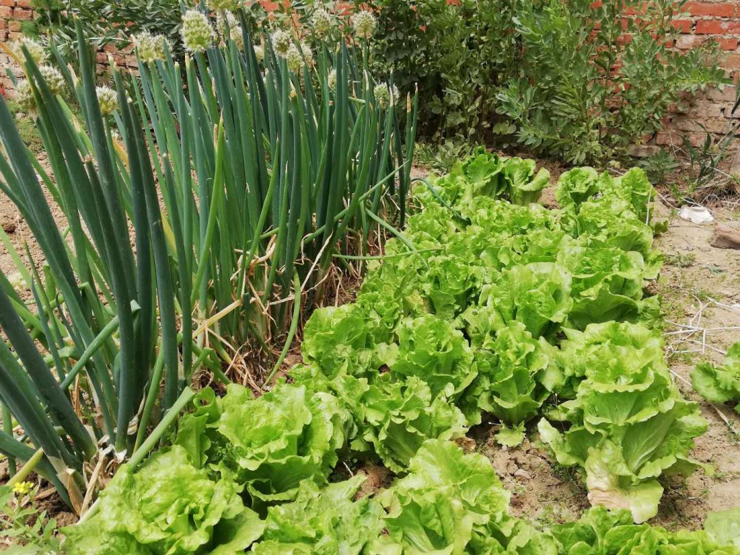 闲着木事儿，你来俺家玩儿呗