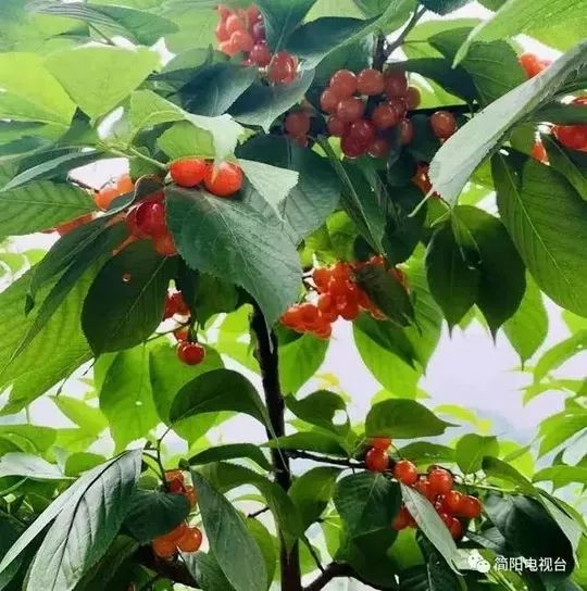 五一小众旅游线路推荐一下,收藏旅游景点