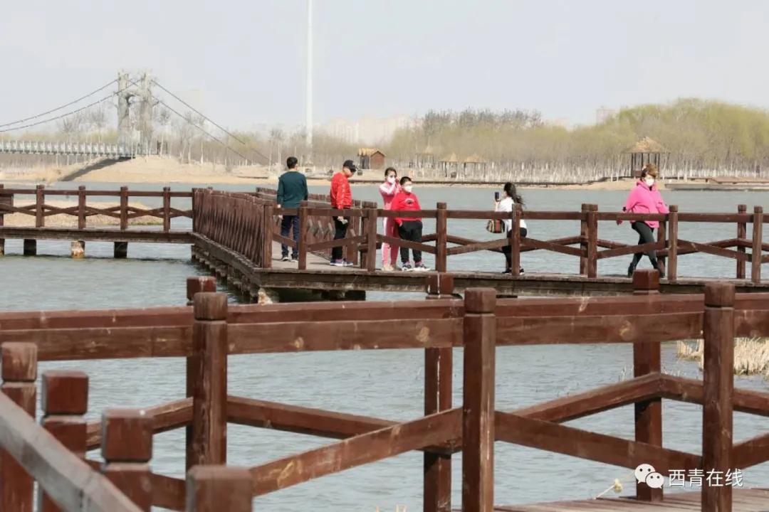 天津2022哪些公园恢复开放,天津水西公园现在恢复开放了吗