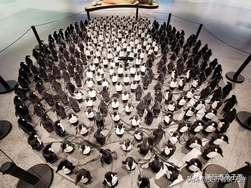 北京遛娃逛吃一条街,北京带娃逛吃攻略