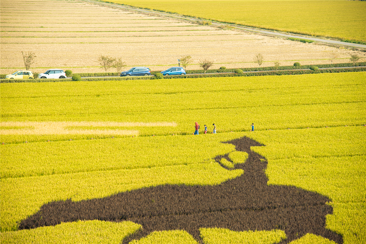苏州秋天有什么好玩的,苏州秋天去哪里玩