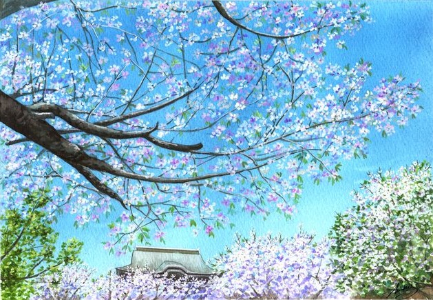 为什么泡茶手会发抖,手发抖是颈椎还是脊柱