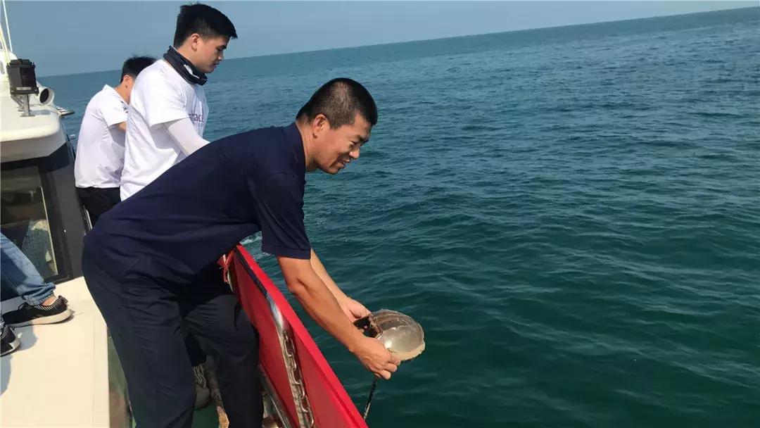 中秋你们都回家了吗,中秋都回家