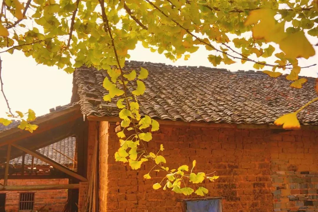 广东居然藏着一个神秘天坑,广东这座小镇藏着多少宝藏