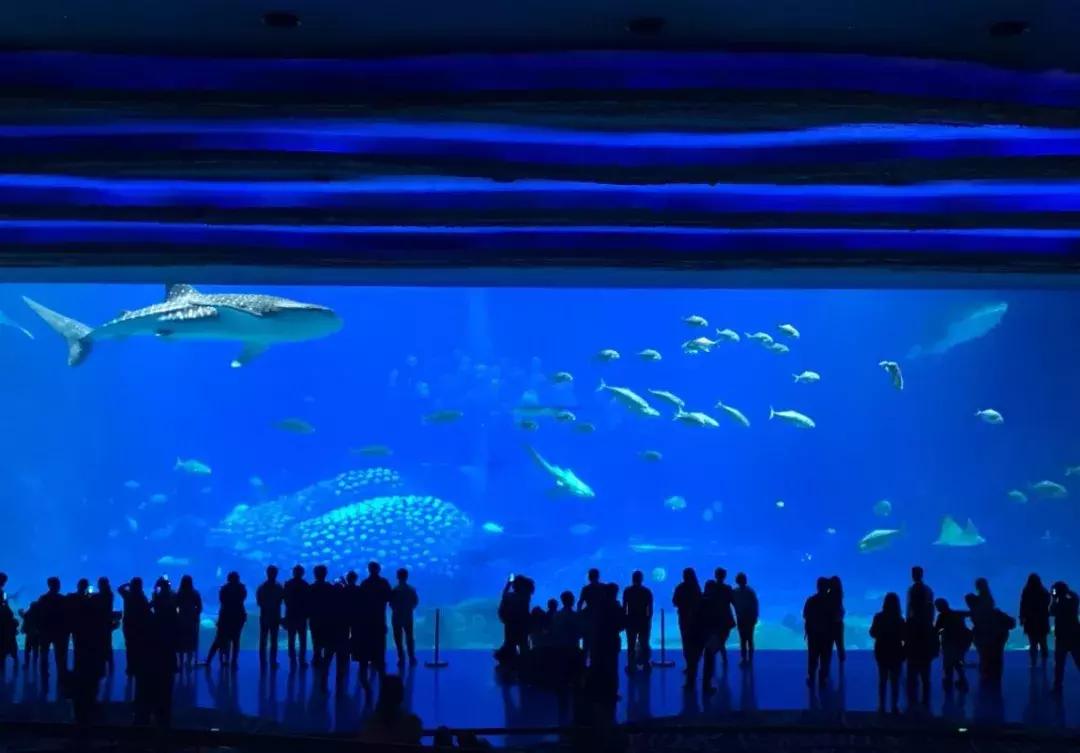 珠海长隆亲子游自由行攻略,珠海长隆亲子游攻略省钱