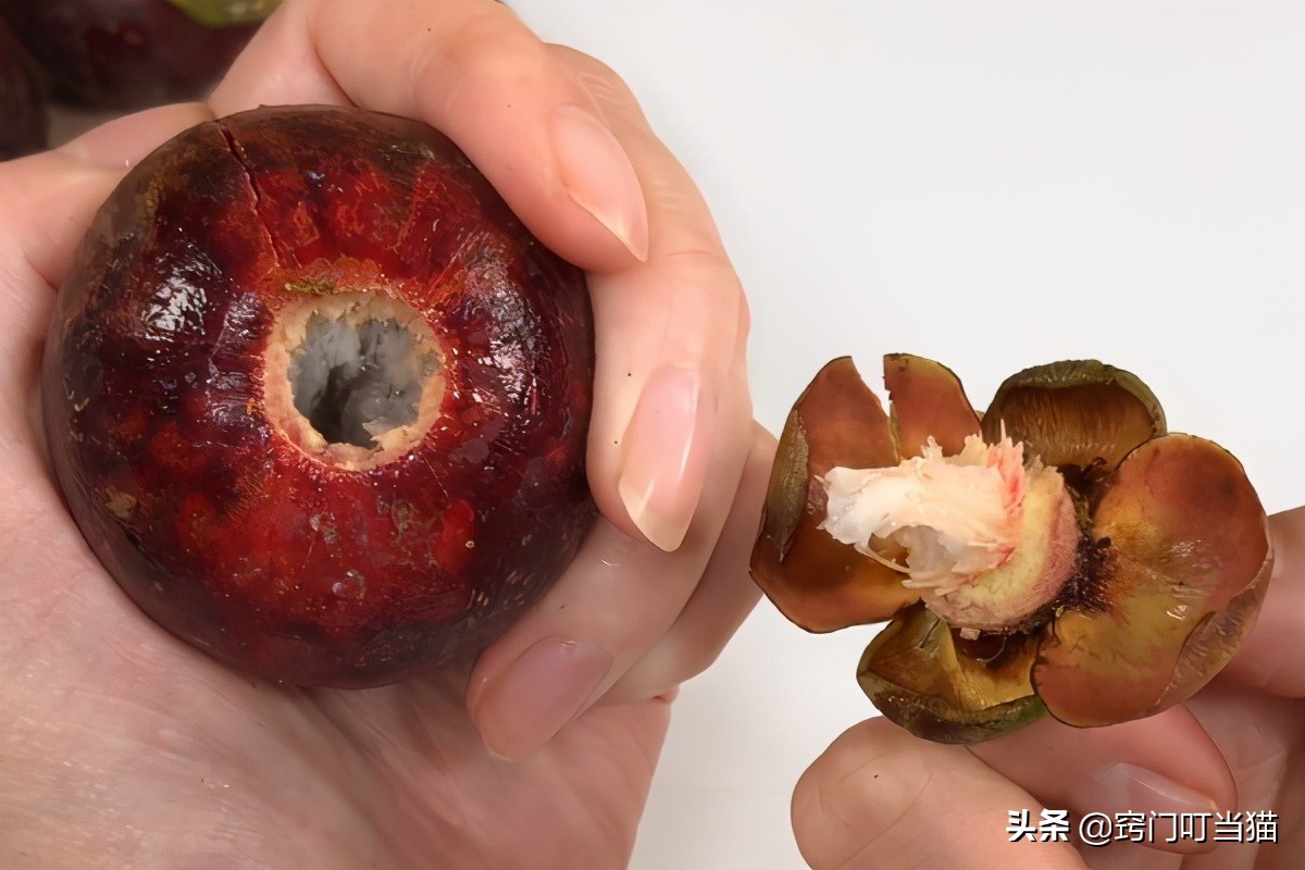 山竹顶上有小机关,山竹顶部小机关视频