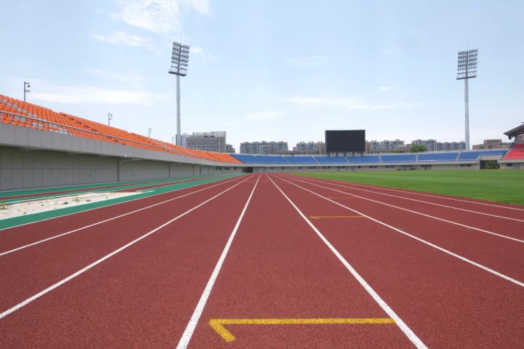 1所高校3个项目，厉害了，亚运“大户”浙师大