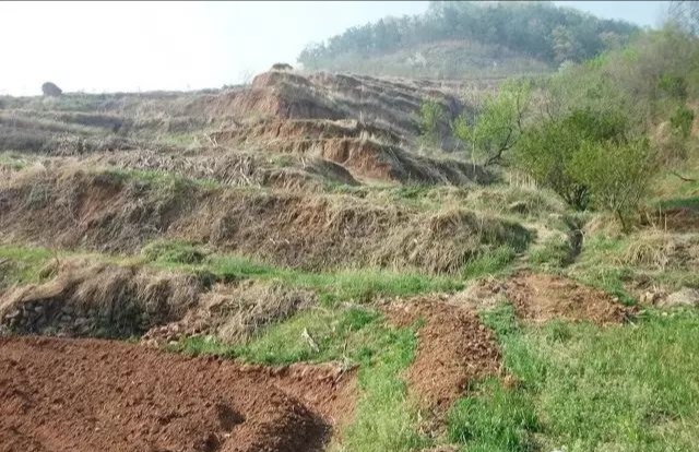 莱阳市御龙湾地址,莱阳御龙湾哪年开始建