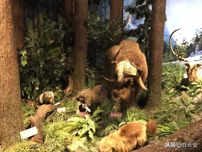 西安周边亲子游玩好去处推荐,西安儿童游乐去处推荐