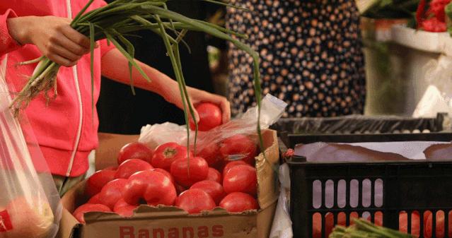 复工出现反弹,复工一个月后的状况