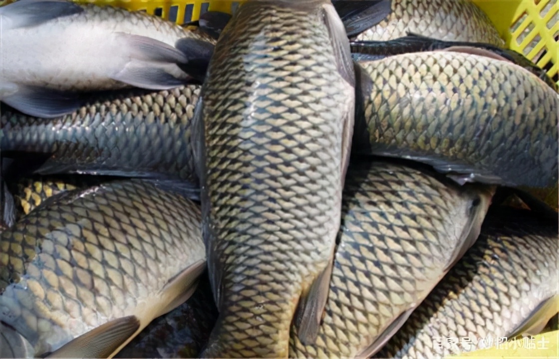 在没有冰箱的情况下怎么保存食物,70年代没有冰箱如何保存食物