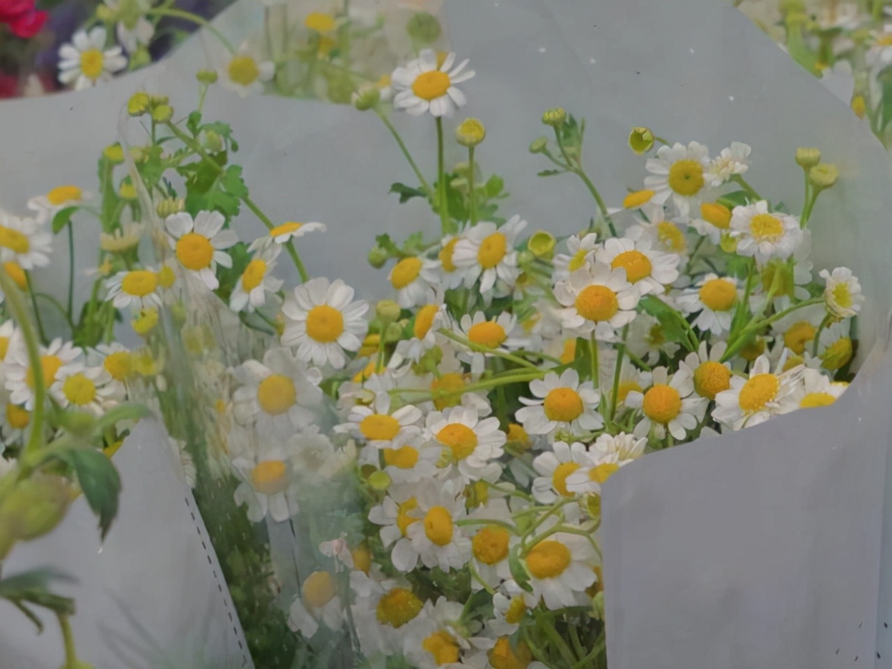 天秤座是一个最容易记仇反击的人,天秤座确实有着暴躁的一面