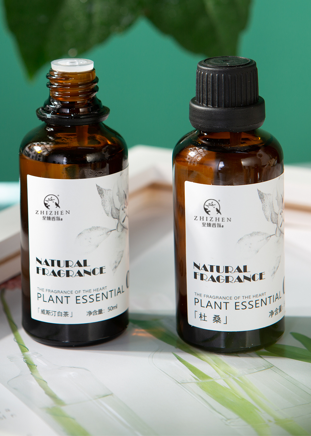 丁香精油和什么精油功效一样,认识油的种类