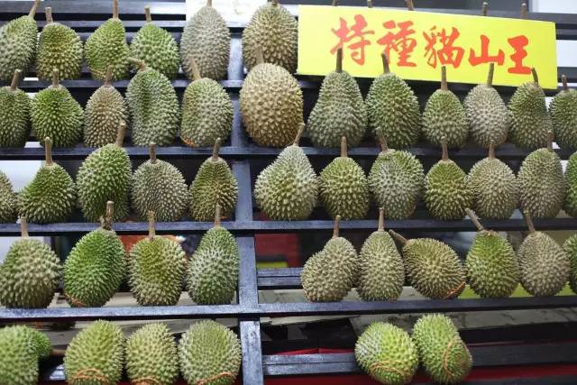 马来西亚旅游免签吗现在,马来西亚免签过关攻略