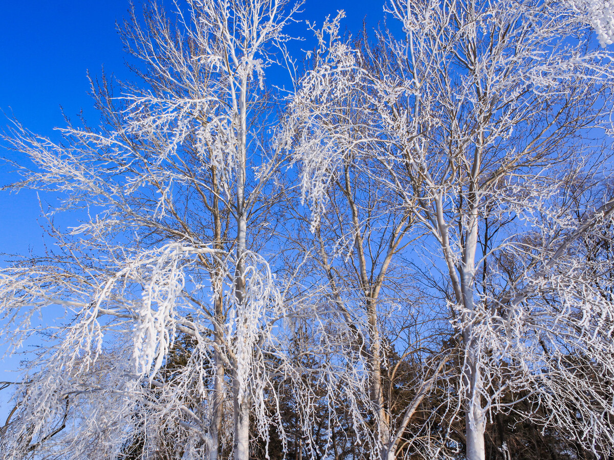 痛风关节炎中医怎么治疗,痛风关节炎和风湿关节炎哪个严重
