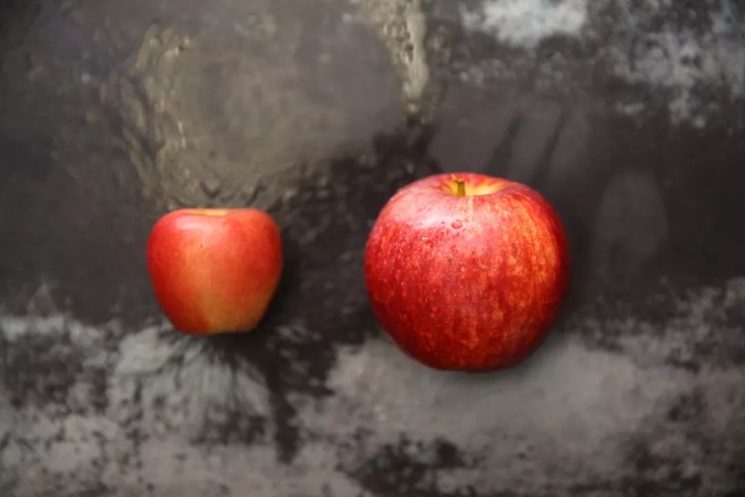 平安夜送什么苹果？不止红富士，这里是最有趣的苹果合集