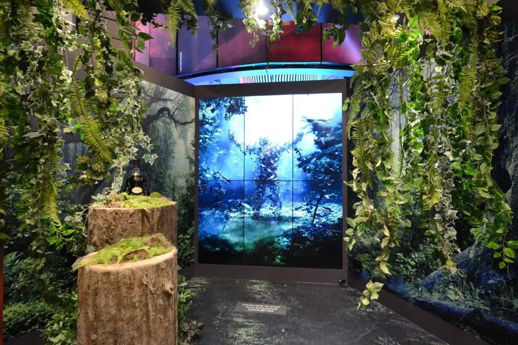 乐天免税店和东大门免税店的区别,乐天免税店线上和实体店区别