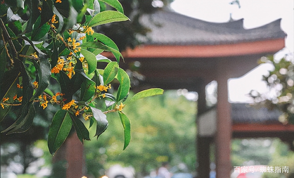 世界公认的中国一级博物馆排名,国家一级博物馆名单