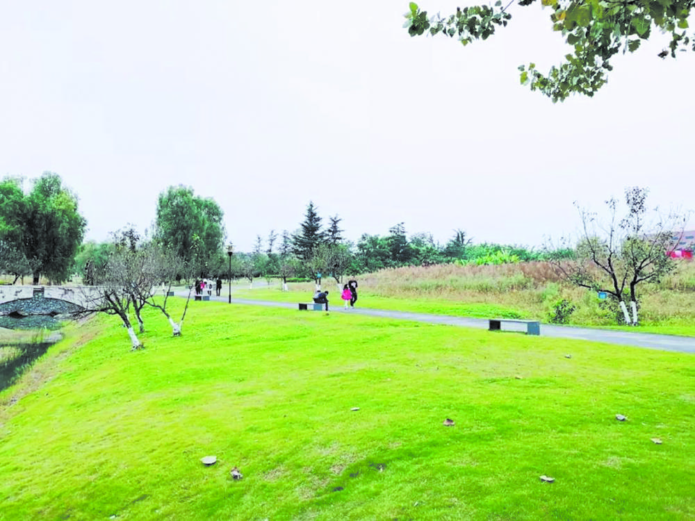 成都环城绿道破三攻略,新年去成都有什么景点