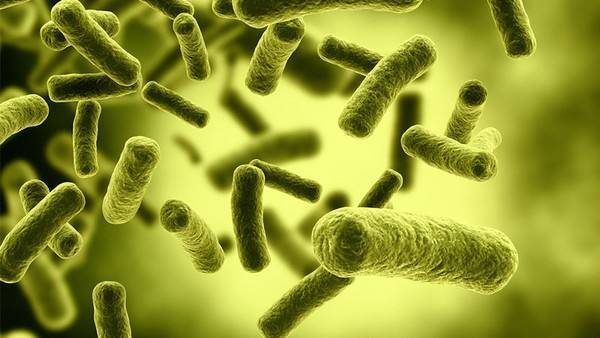 通过性传播的疾病都有哪些最严重,经性传播的疾病