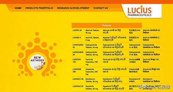 仿制药印度市场,印度仿制药陷造假风波