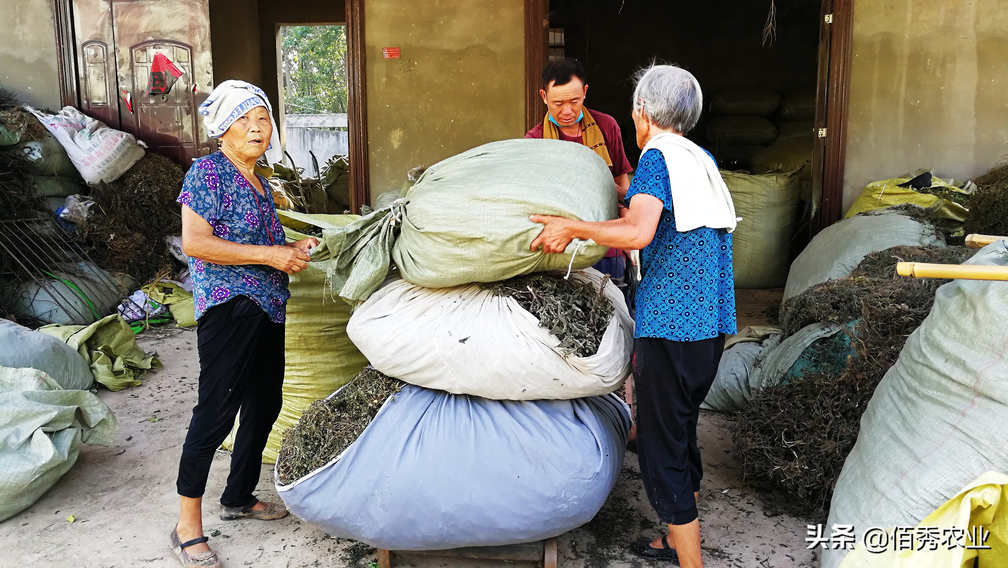 40万在农村能做什么,不想外出打工的农民能干什么