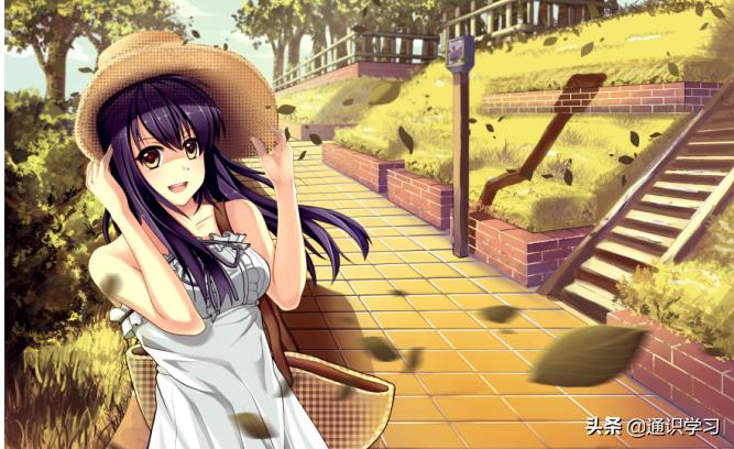 动漫设计教学素材,动漫设计教程制作视频