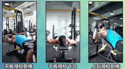 健身器械品牌十大排行榜,健身器械排行前十名