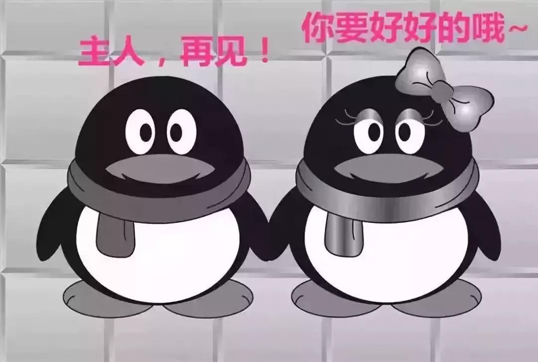 陪伴我13年的QQ宠物，永久下线了，那个小朋友，再见....