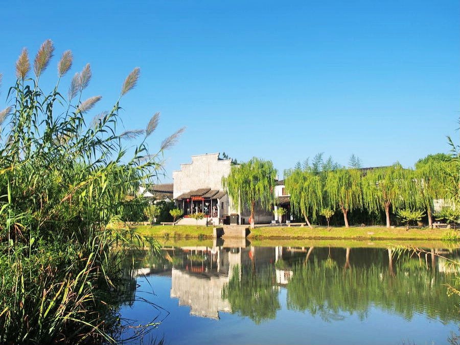 沙家浜景区大闸蟹在哪里,秋天爱上上海的理由大闸蟹