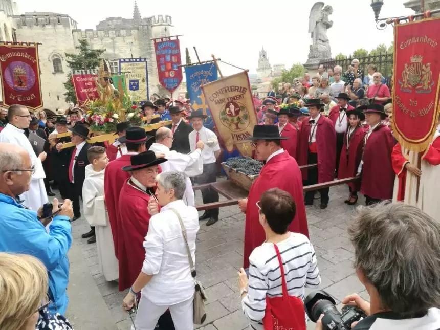 法国葡萄园干活,在法国上班