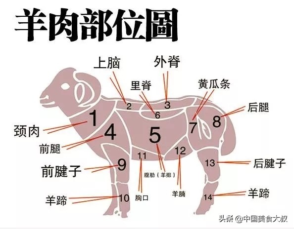 一分钟教你识别正宗羊肉,怎样识别新羊肉是小羊肉和老羊肉