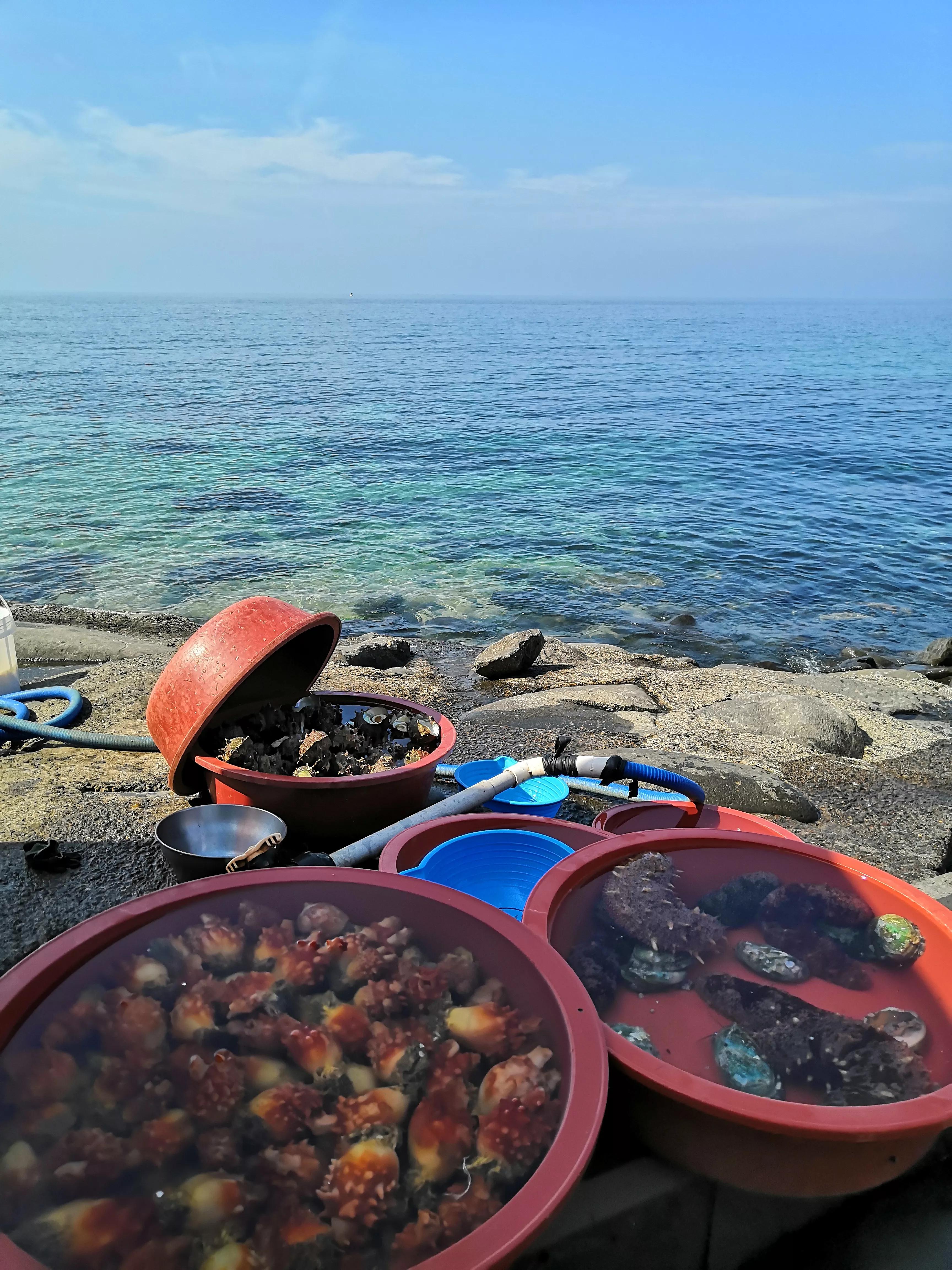 心血来潮去爬山,想去济州岛看海