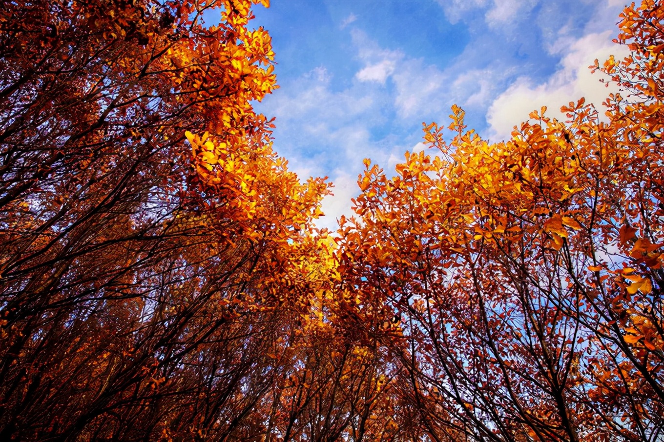 北京喇叭沟门,北京喇嘛沟门游玩