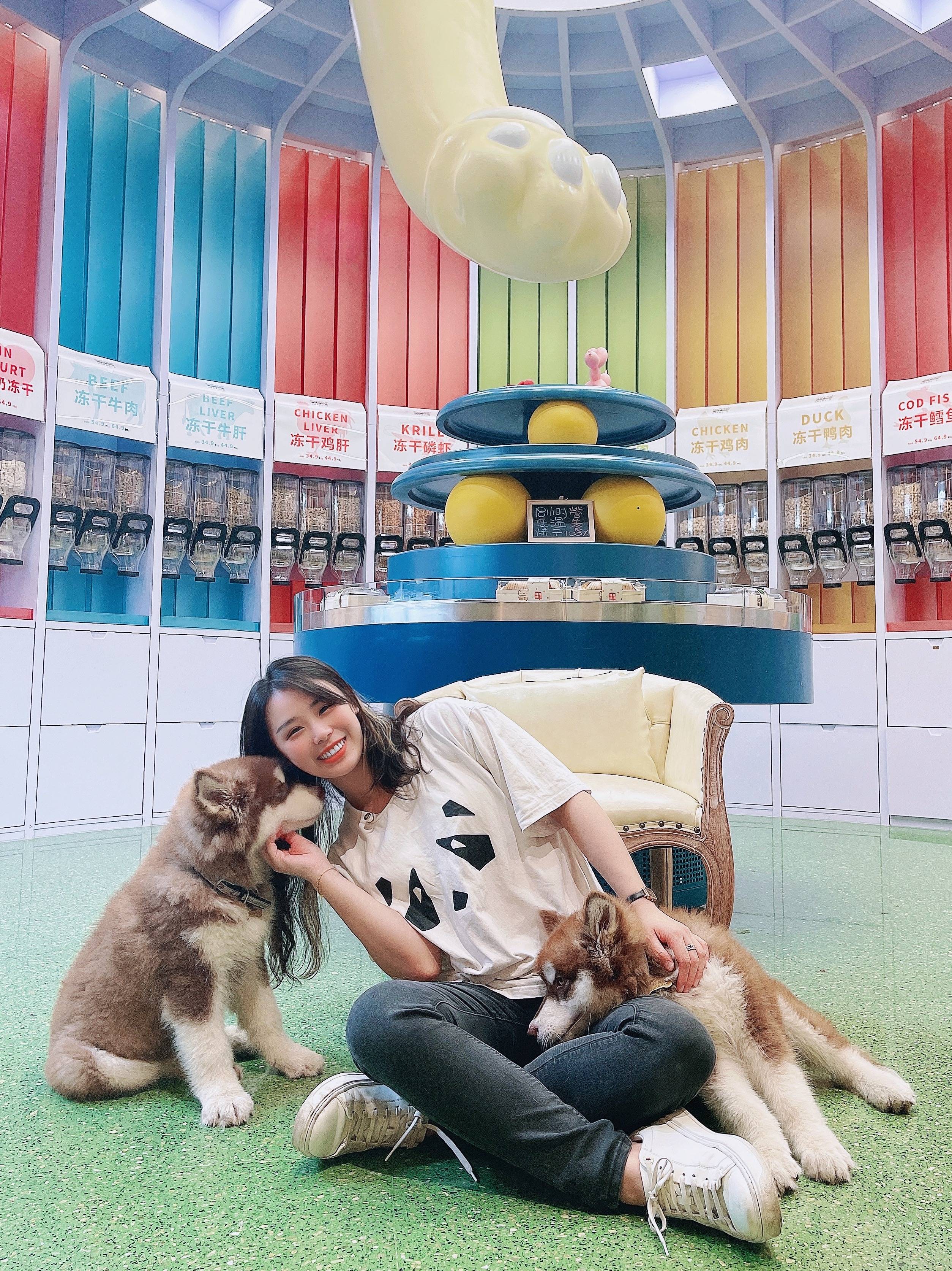 第一次养阿拉斯加犬需要注意什么,阿拉斯加犬怎么养新手必看