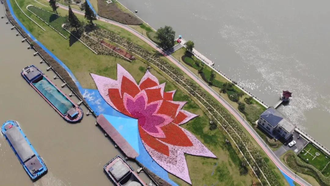 南通中创区哪个楼盘最好,南通房产中创和滨江哪里更好