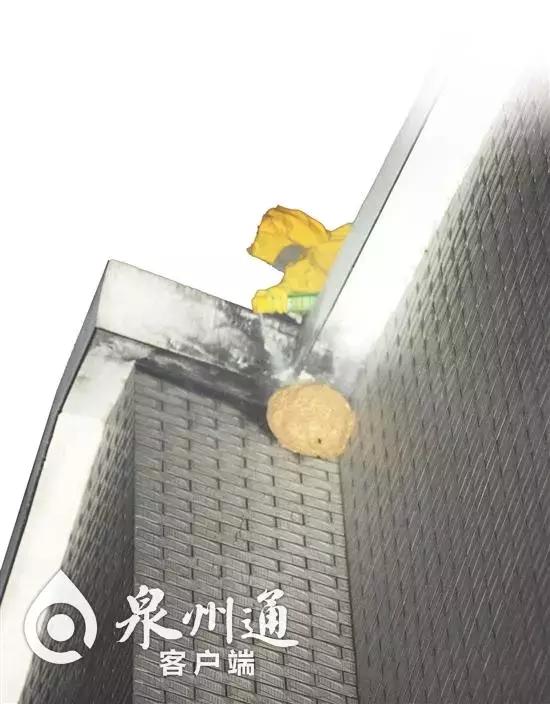 各种各样的毒虫被咬了怎么办,十大毒虫咬了有什么症状