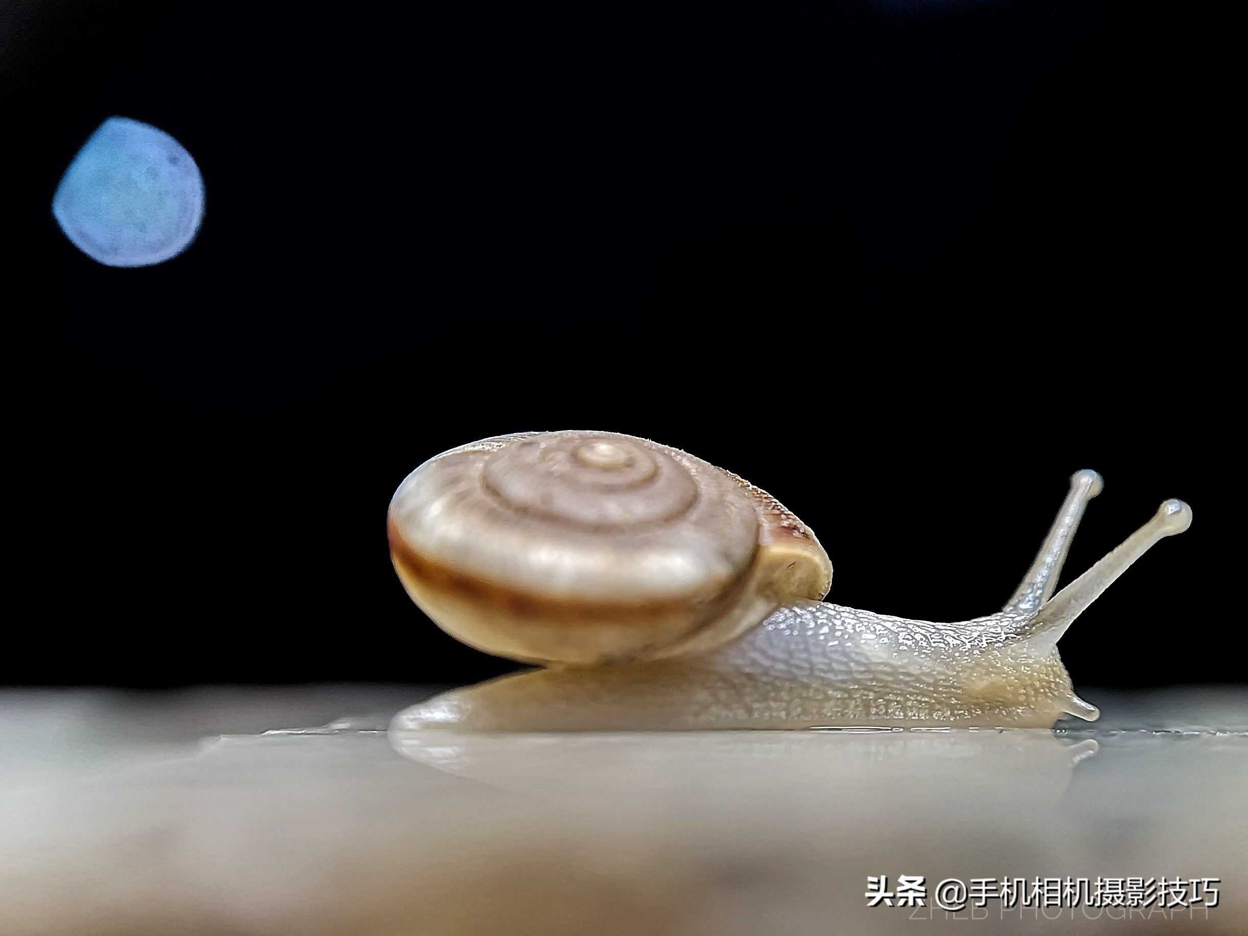 十倍光学变焦公认最好拍照手机,1亿像素5倍光学变焦手机有哪些