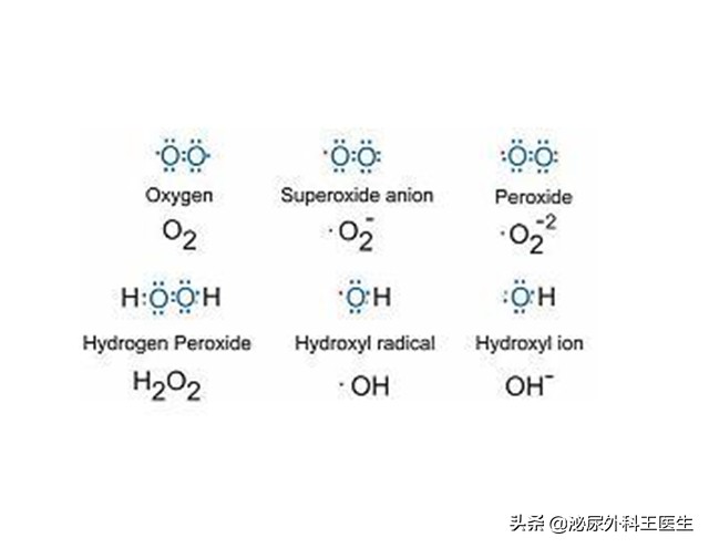 没遇上卵子的精子，最终会去哪里？