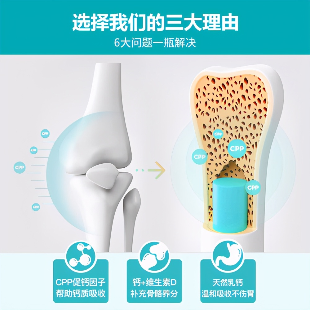 母狗养宝宝后注意事项,母狗怀孕前期的注意事项